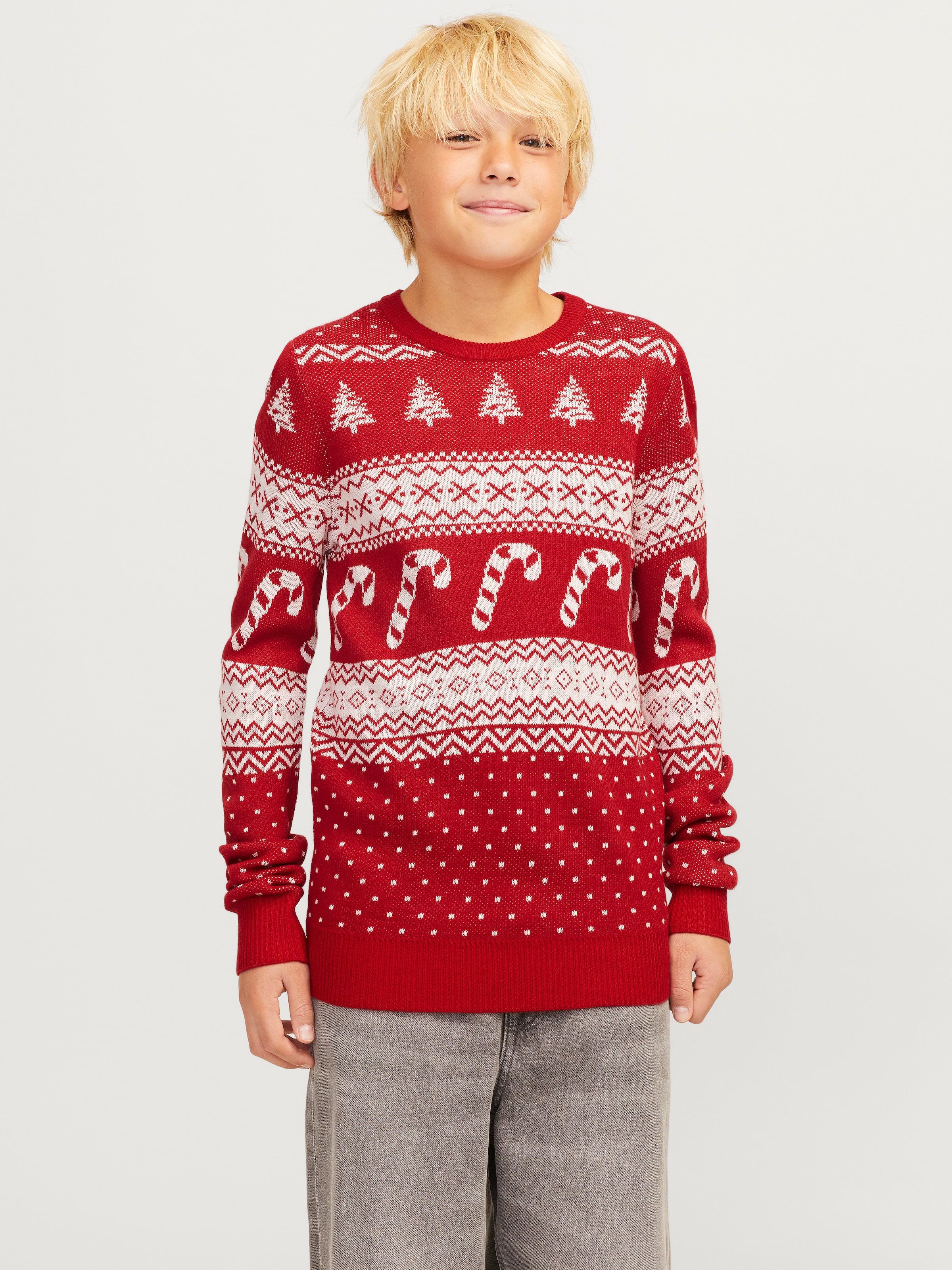 Jack & Jones Junior Rundhalspullover »JJXMAS GABRIEL KNIT CREW NECK JNR«, mit weihnachtlichem Muster