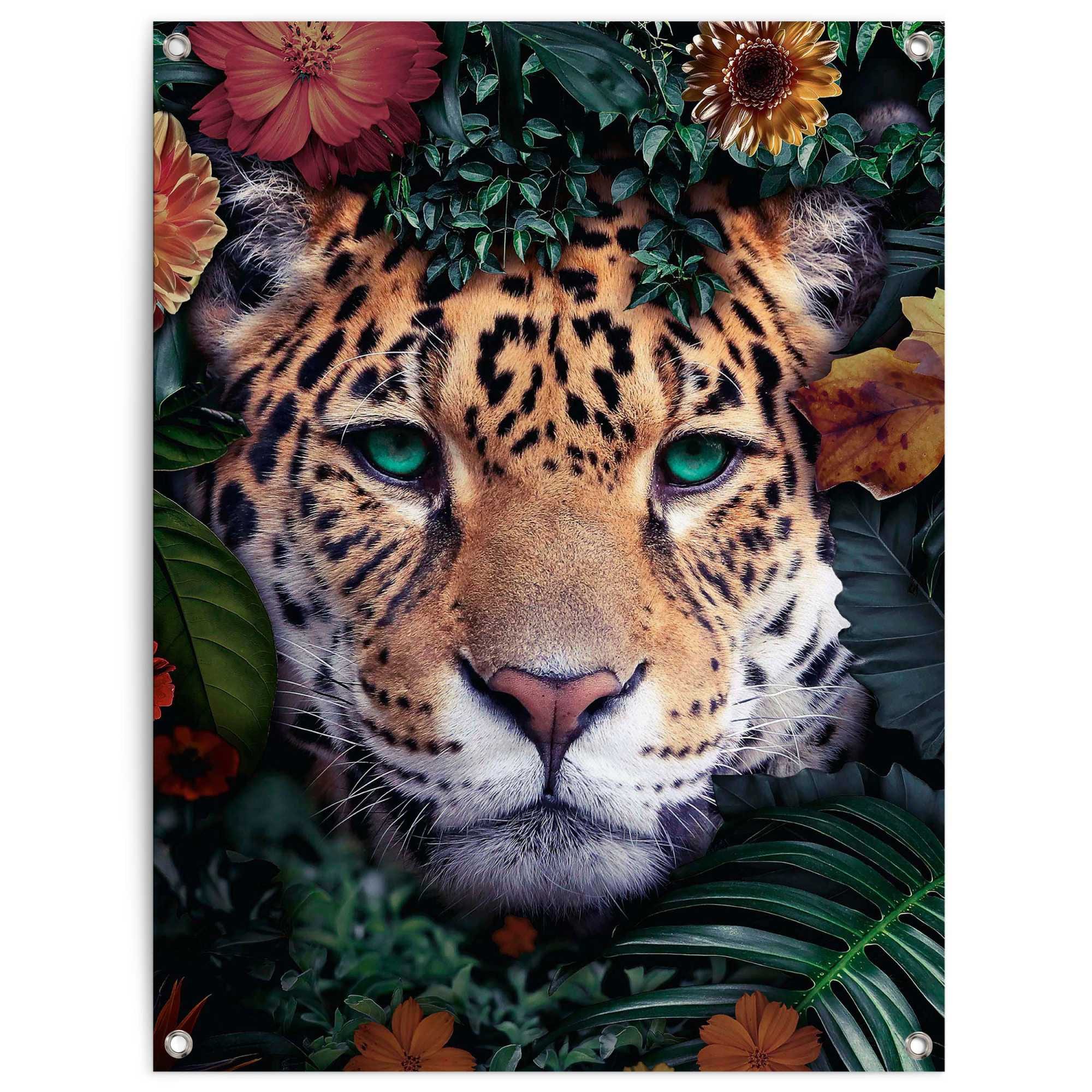 Reinders! Poster »Leopard« bestellen | online Jelmoli-Versand