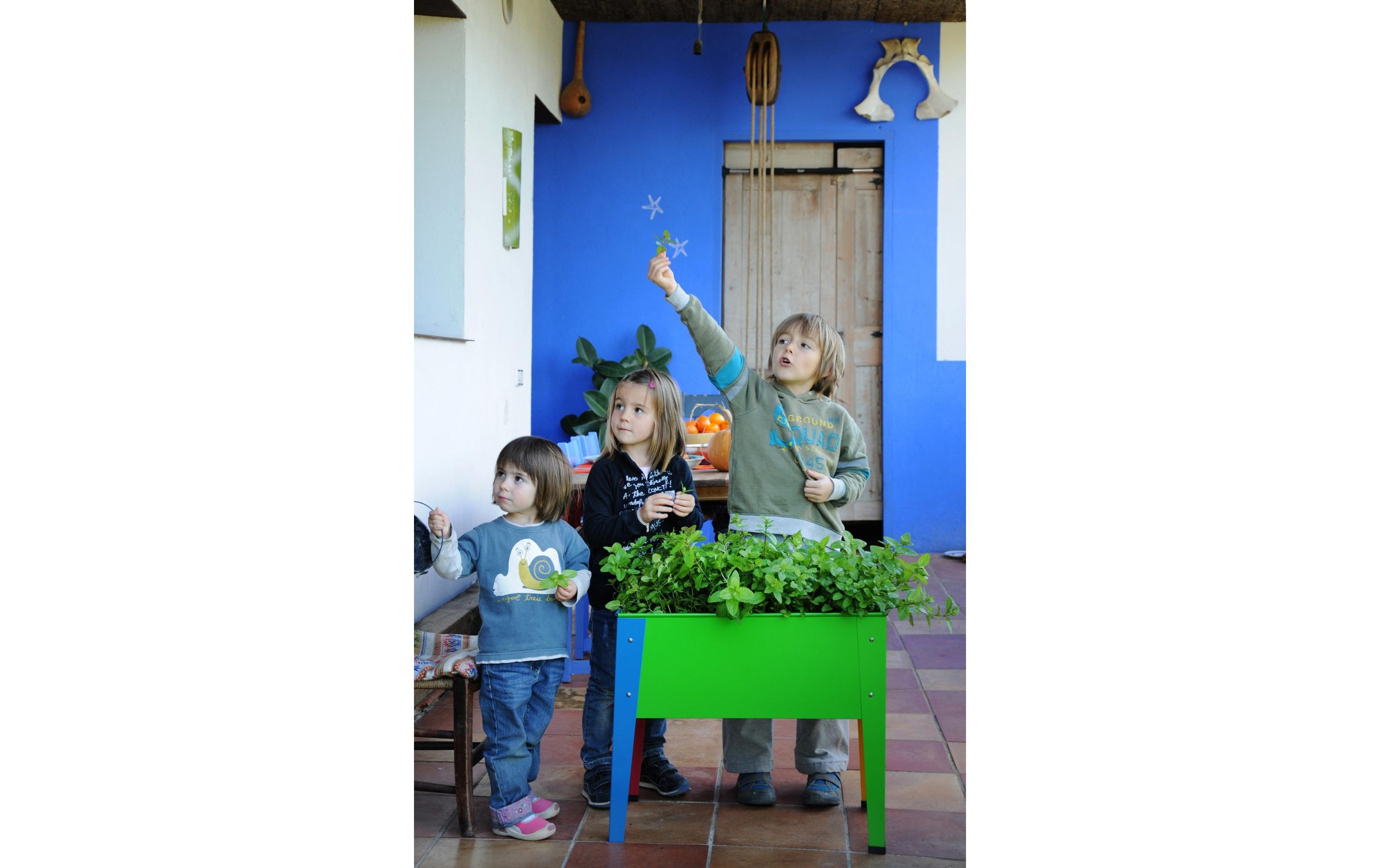 Herstera Garden Hochbeet »100 x 40 x 65 cm«