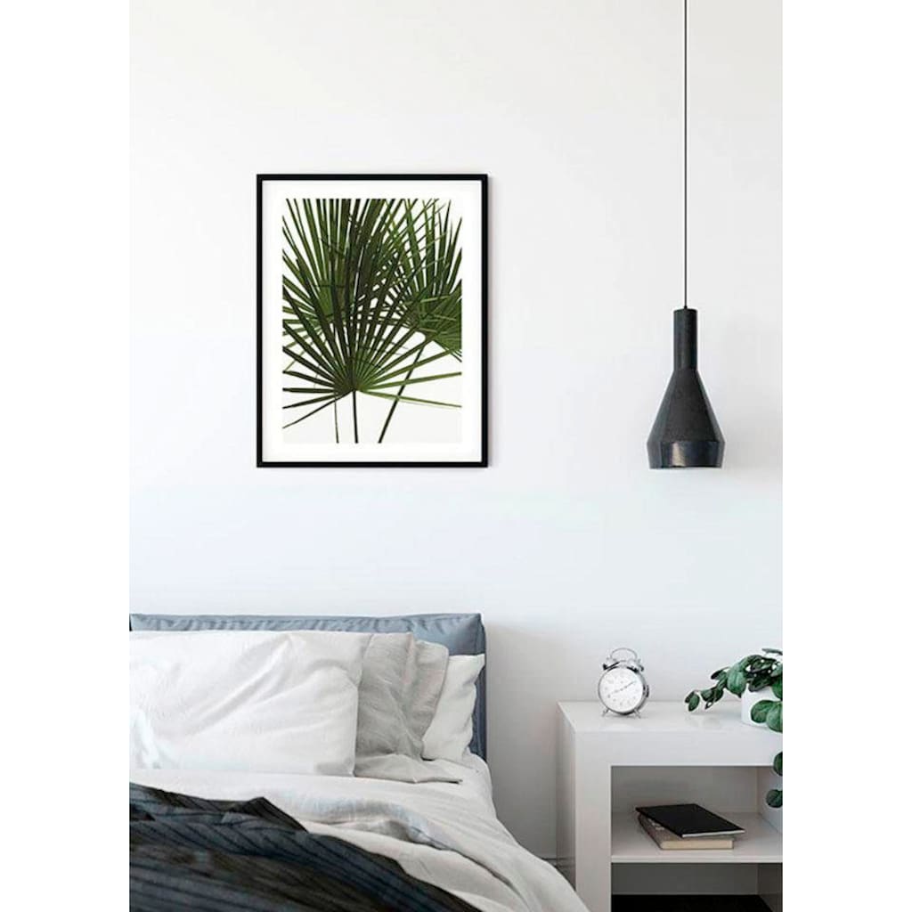 Komar Poster »Palmtree Leaves«, Pflanzen, (1 St.)