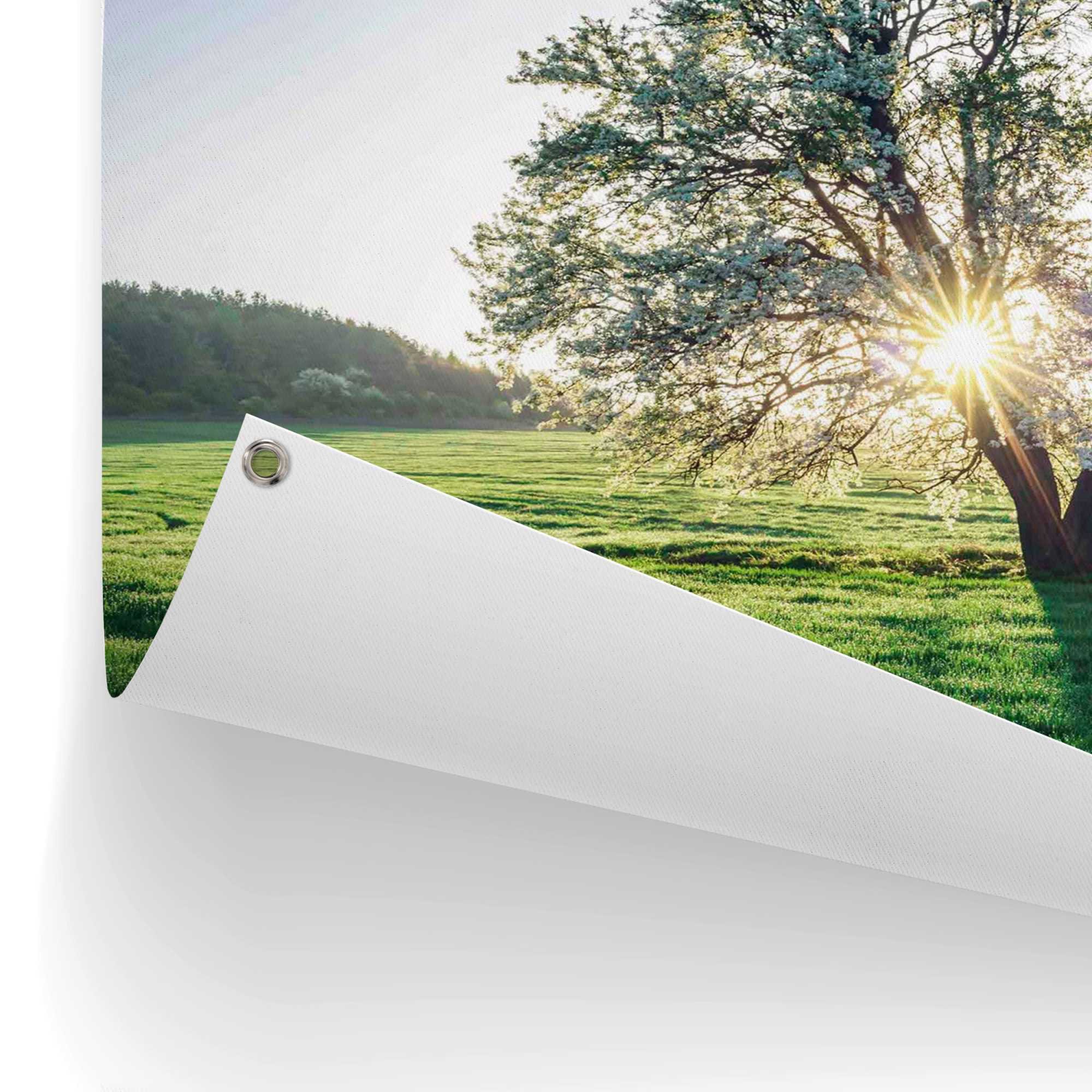 Reinders! Poster »Baum in der Outdoor | online für Balkon bestellen oder Morgensonne«, Jelmoli-Versand Garten