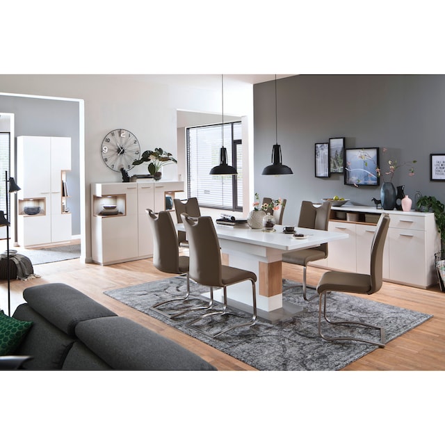 MCA furniture Freischwinger »Artos«, (Set), 2 St., Leder, Stuhl mit  Echtlederbezug, bis 140 Kg belastbar online shoppen | Jelmoli-Versand