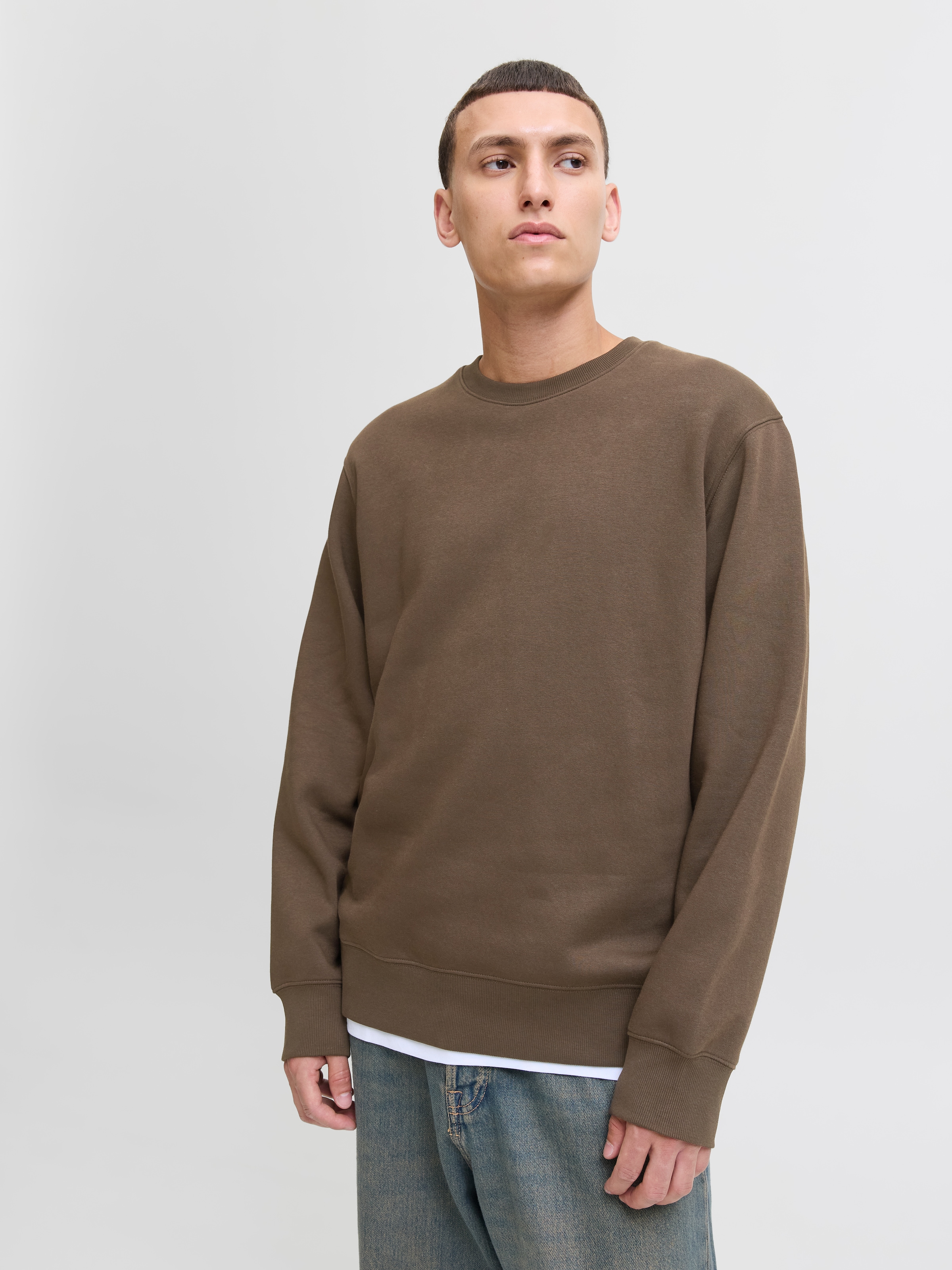 Jack & Jones Sweatshirt »JJESTAR BASIC SWEAT CREW NECK NOOS«, mit Rundhalsausschnitt