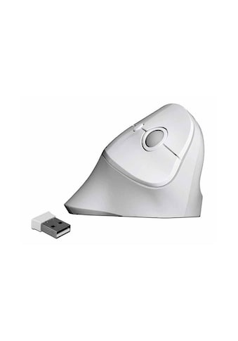 ergonomische Maus »Delock Ergonomische Maus 12596 USB«
