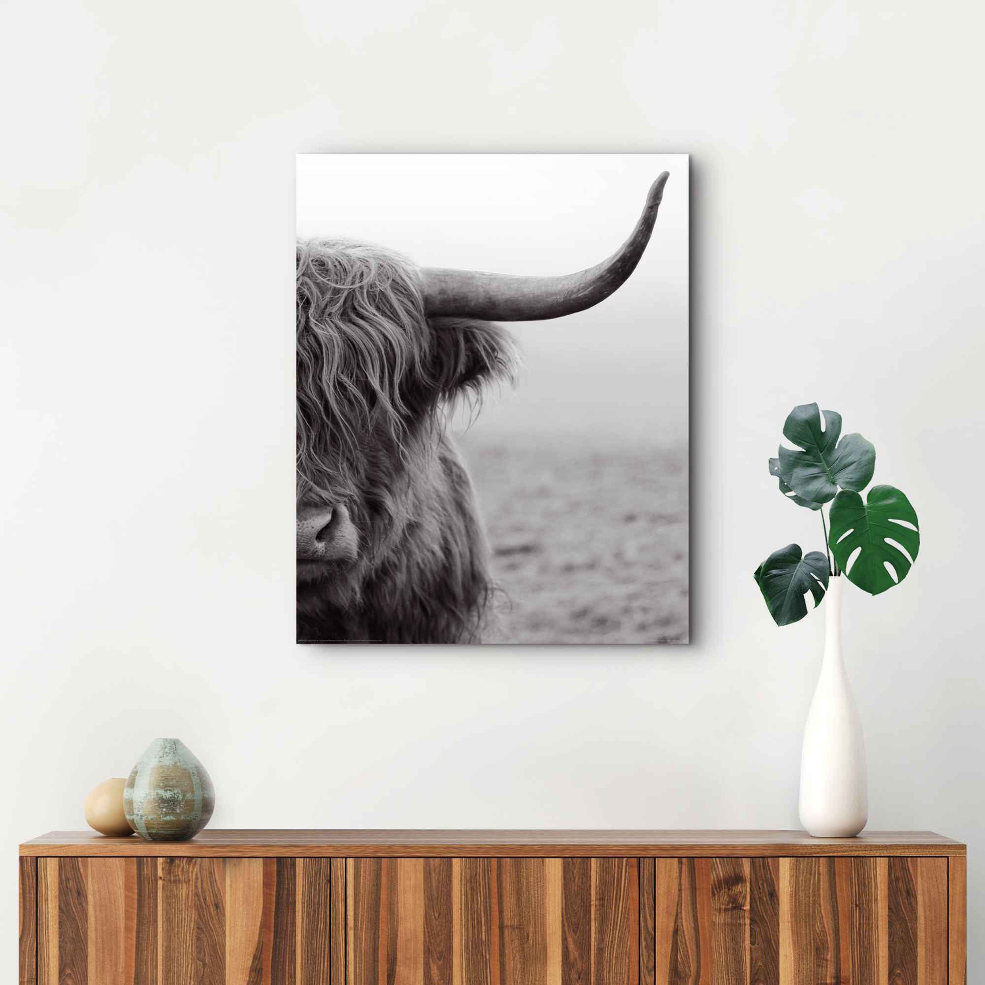 Bulle »Wandbild Jelmoli-Online Wandbild im Hochlandrind«, Highlander Nahaufnahme Shop Tiermotiv Kuh, St.) ordern - Reinders! - (1