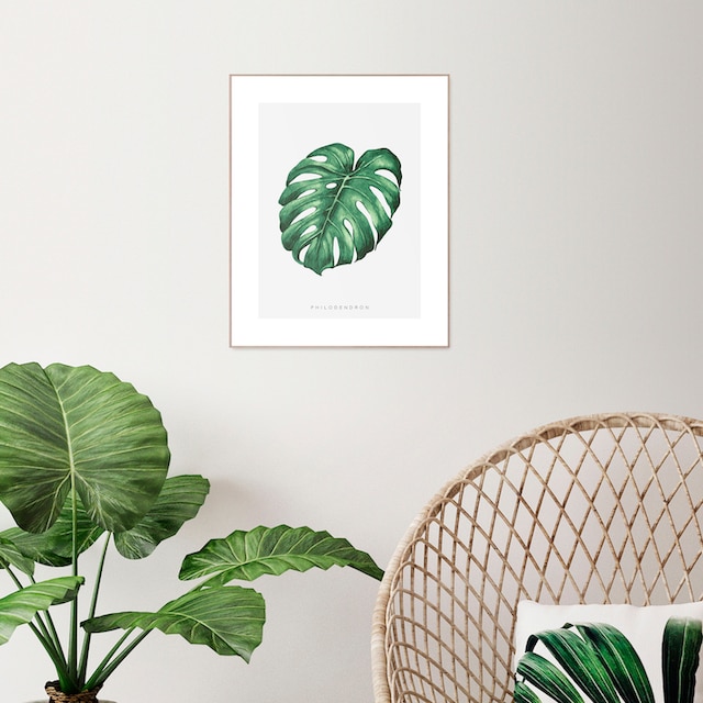 ❤ Reinders! Bild mit Rahmen »Monstera Leaf«, (1 St.) ordern im  Jelmoli-Online Shop