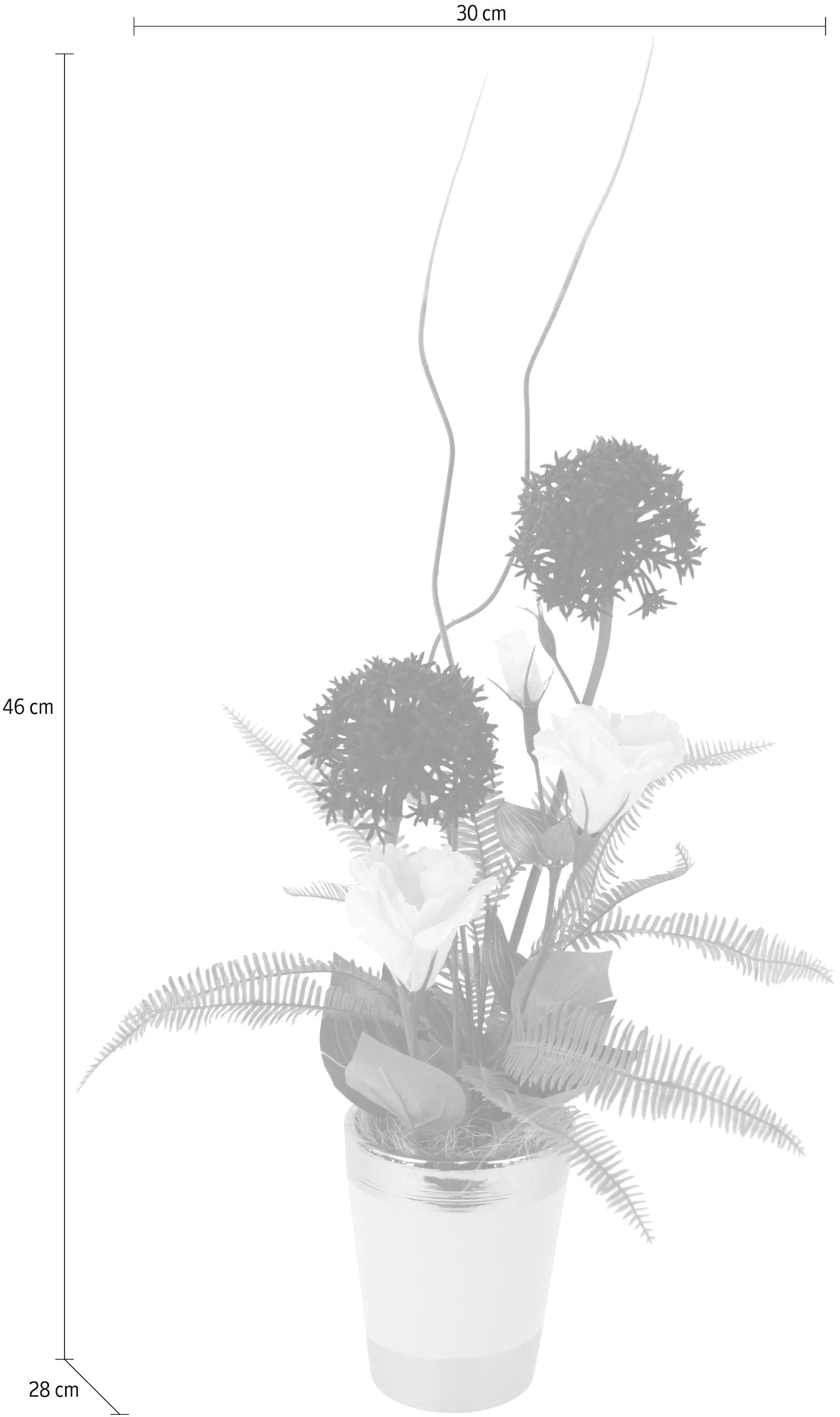I.GE.A. Kunstpflanze, Arrangement Jelmoli-Versand Topf online im bestellen 