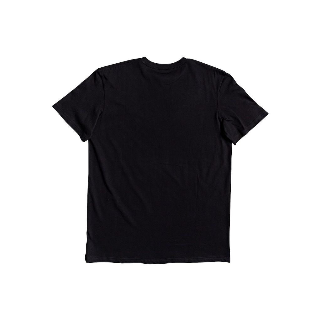 Quiksilver T-Shirt »New Slang«