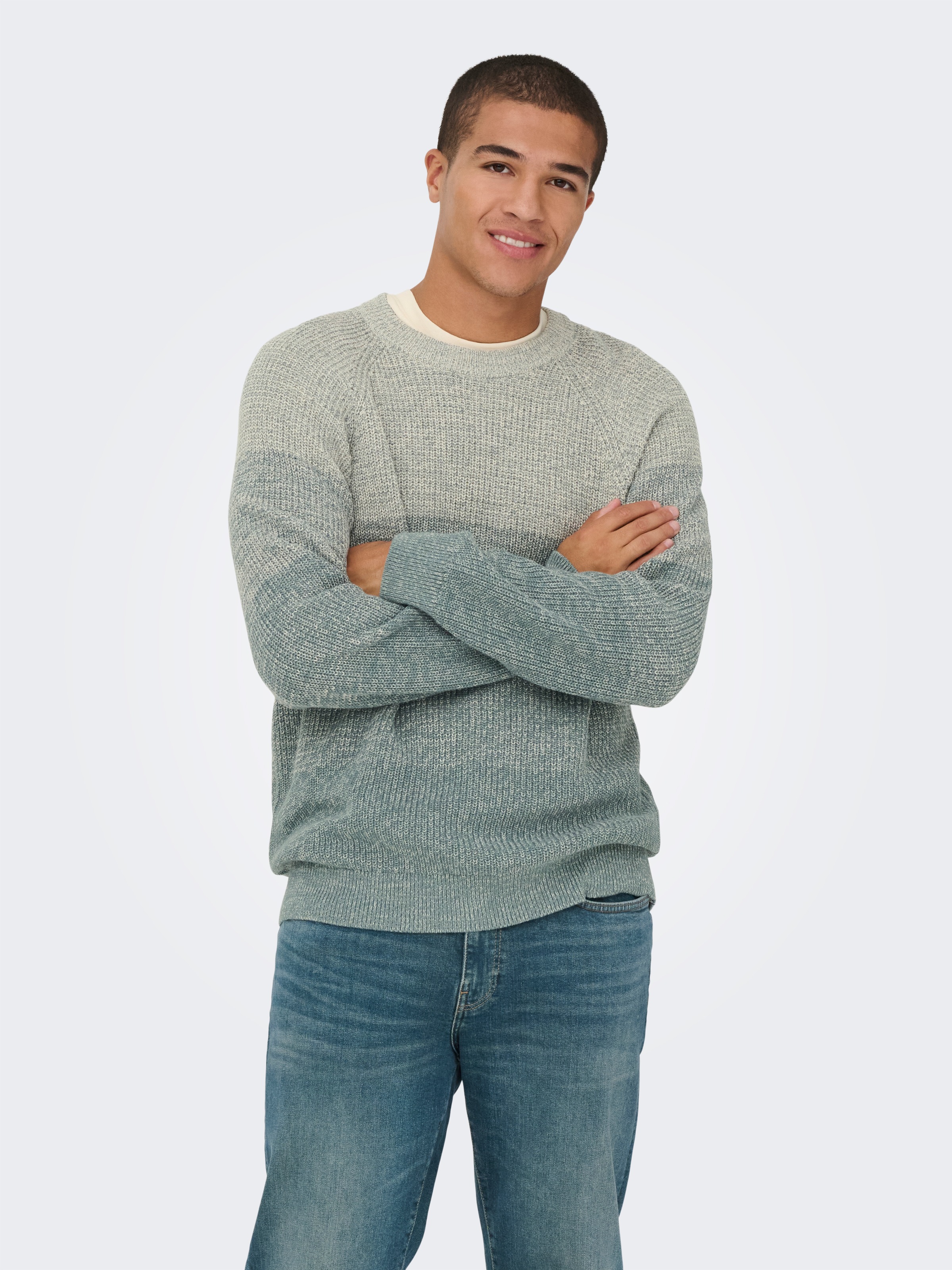 ONLY & SONS Rundhalspullover »ONSBIRK RLX LS RAGLAN KNIT CAMP«