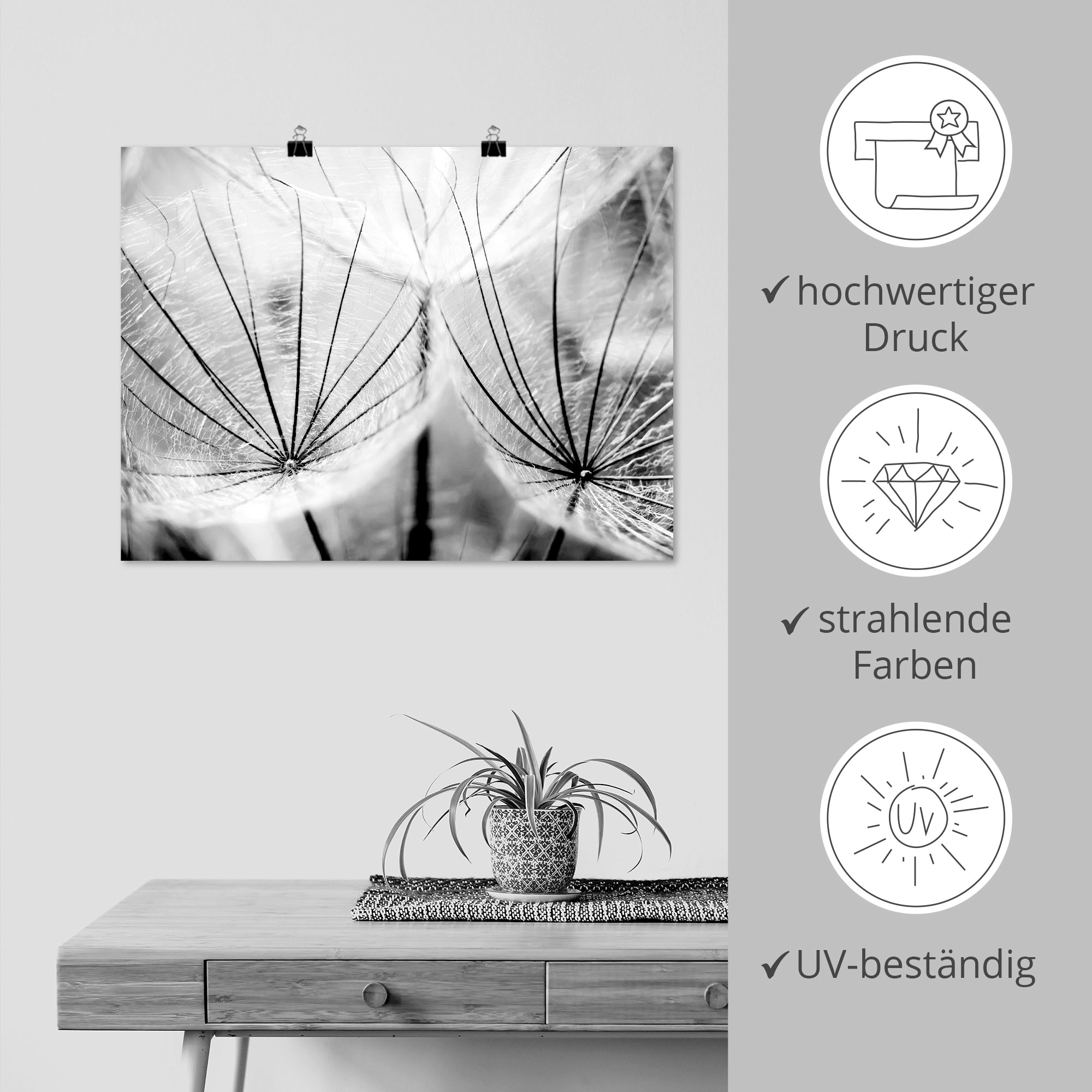 Artland Wandbild »Pusteblume in schwarzweiss«, Blumen, (1 St.), als Alubild, Outdoorbild, Leinwandbild, Poster, Wandaufkleber