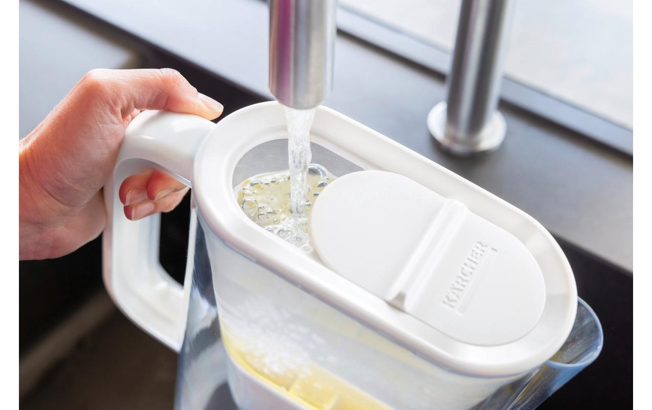 KÄRCHER Wasserfilter »WFP 12 + 3«