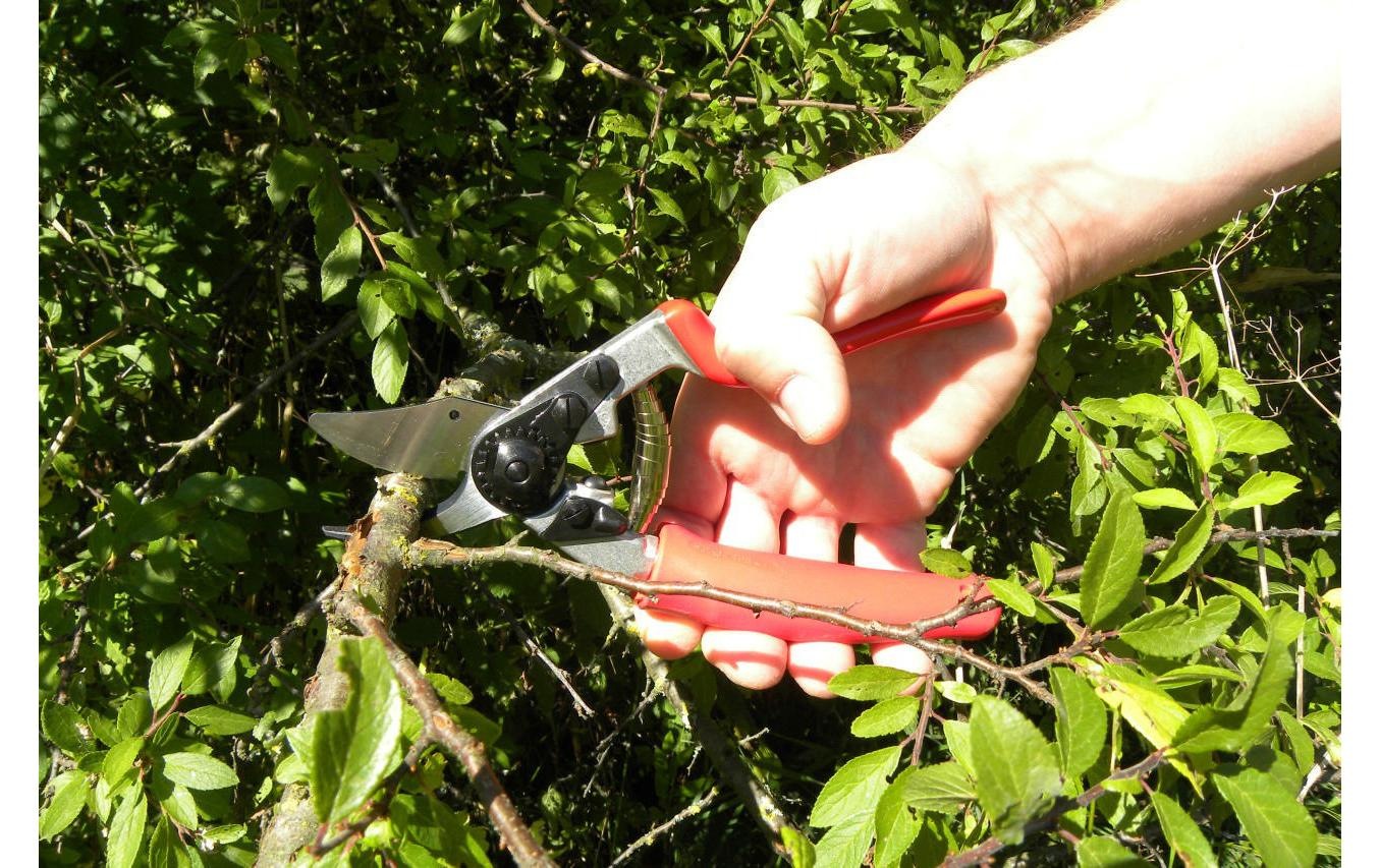Gartenschere »Felco 12 Rollgriff«