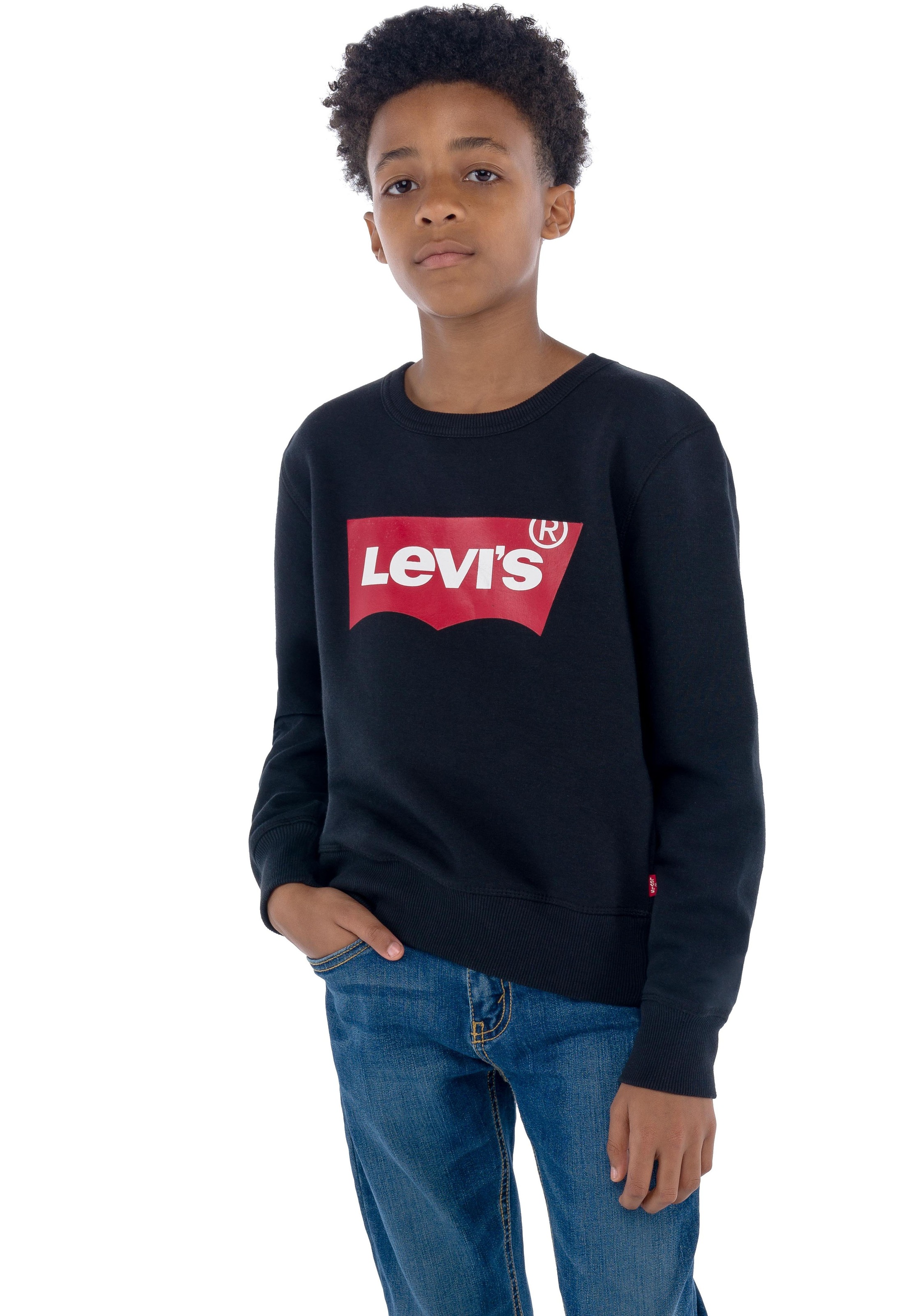 Levi's® Kids Sweatshirt »LVB LVB FRENCH TERRY BATWING«, mit grossem Logo
