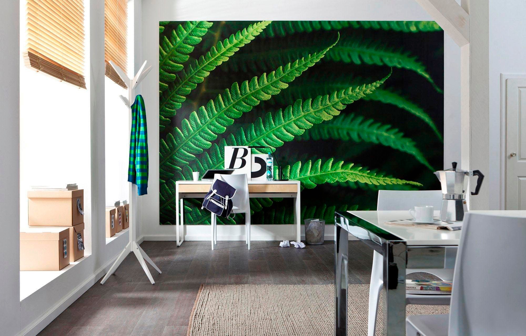 Komar Vliestapete »Digitaldruck Vlies - Farn - Grösse 350 x 250 cm«, bedruckt, Wohnzimmer, Schlafzimmer