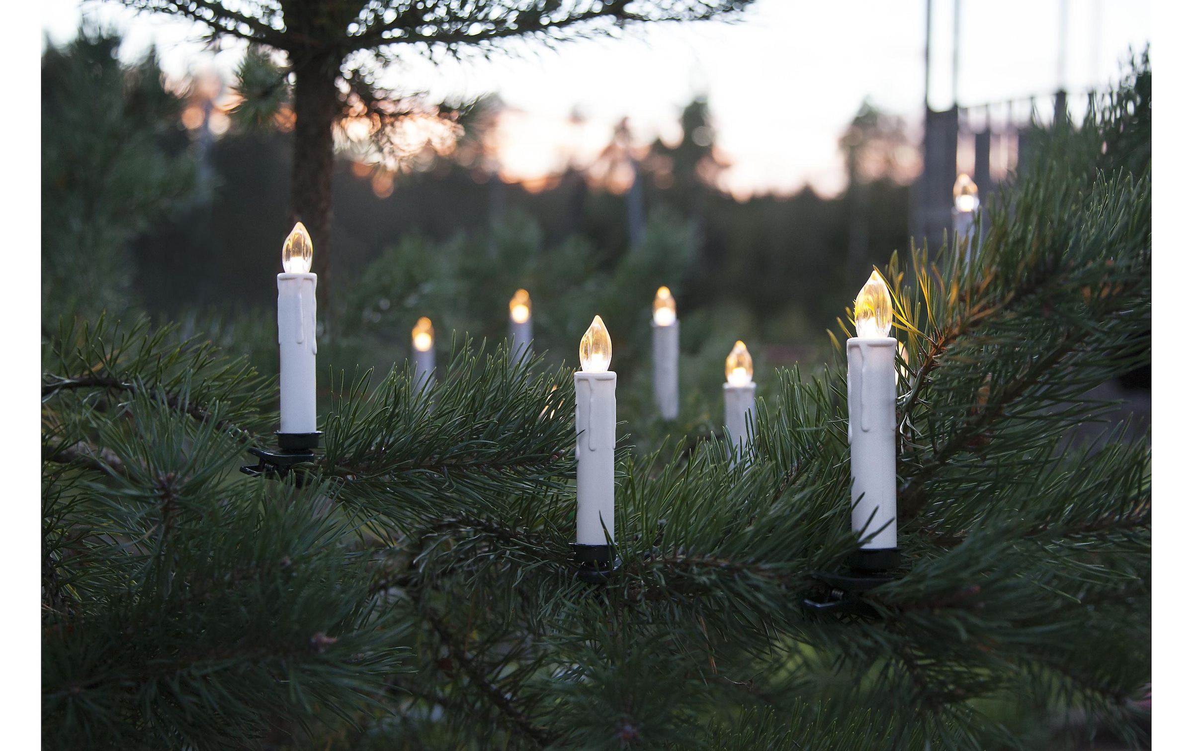 Parforce Traditional Hunting Christbaumkerzen »LED Baumkerze Wireless«, 10 St.-flammig, Fernbedienung im Lieferumfang enthalten