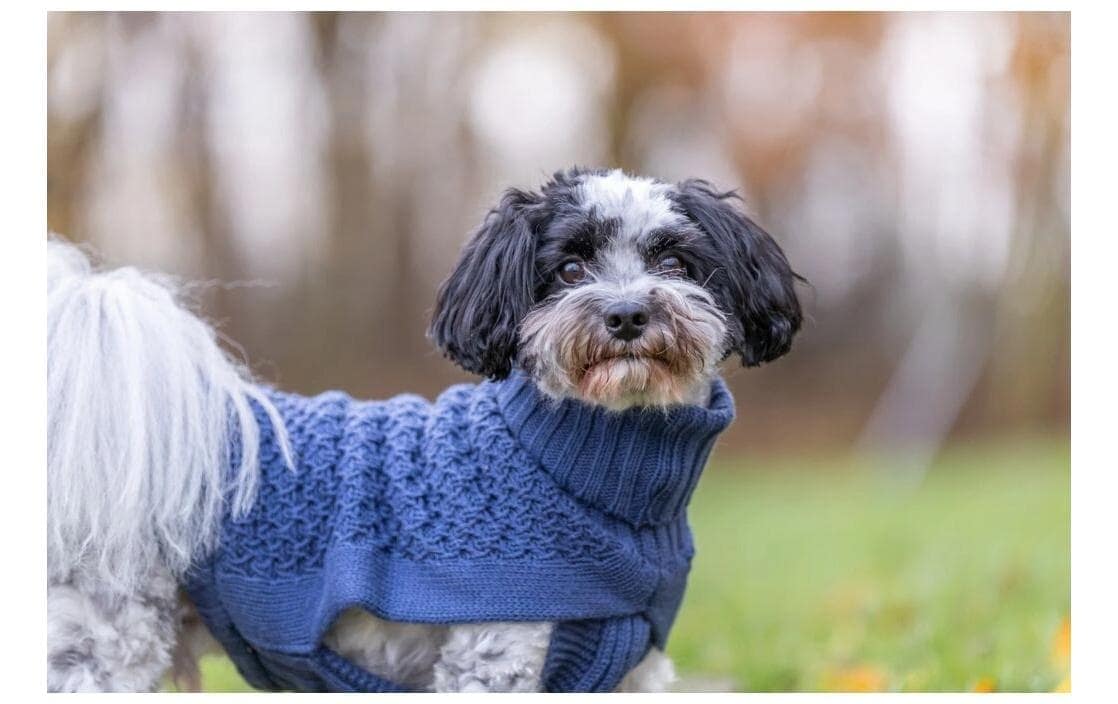 TRIXIE Tierpullover »Norwood M, 50 cm Dunkelblau«