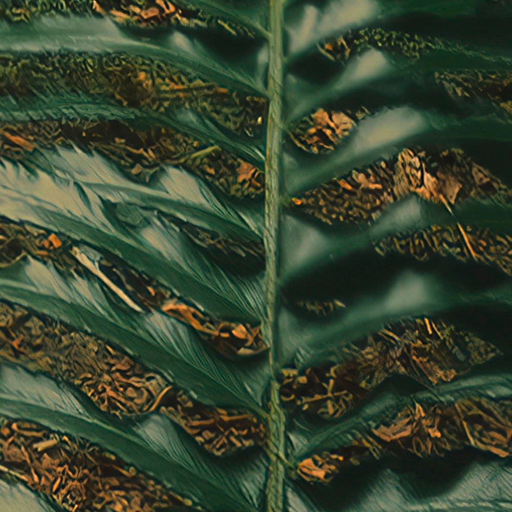 Komar Fototapete »Digitaldruck Vlies - Hall of Mosses - Grösse 400 x 250 cm«, bedruckt, Wohnzimmer, Schlafzimmer