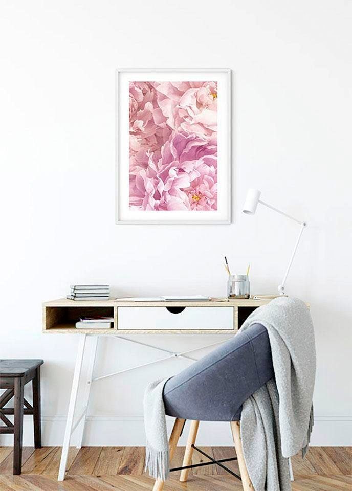 Komar Bild »Sauve«, Blumen, (1 St.), Wandbild zur Dekoration - ohne Rahmen