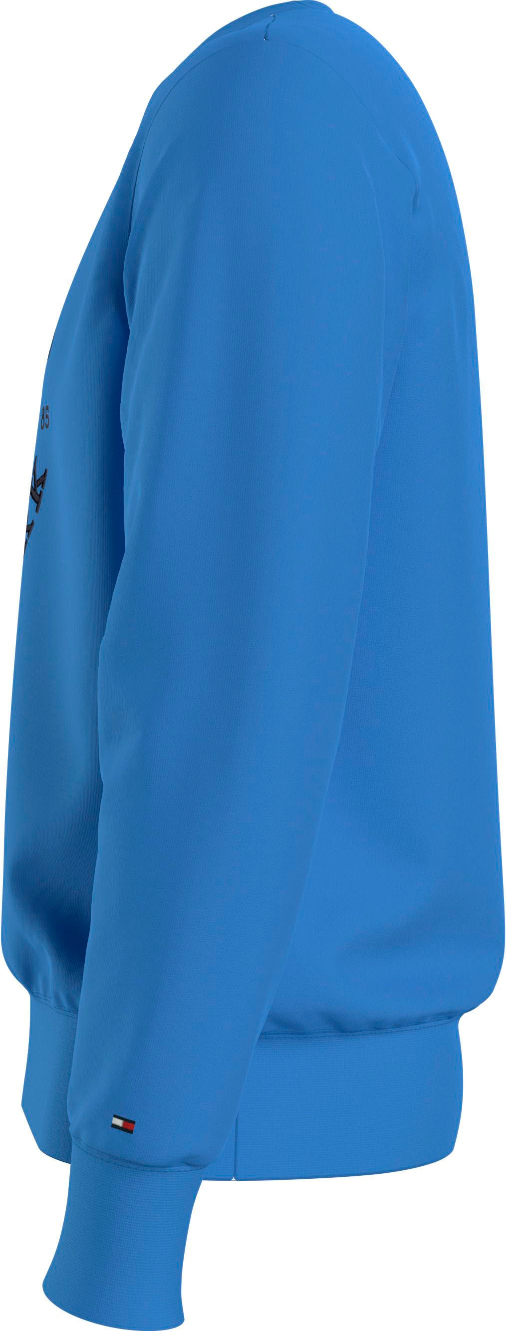 Tommy Hilfiger Sweatshirt »BIG ICON CREST SWEATSHIRT«, mit grossem Logo auf  der Brust online shoppen | Jelmoli-Versand
