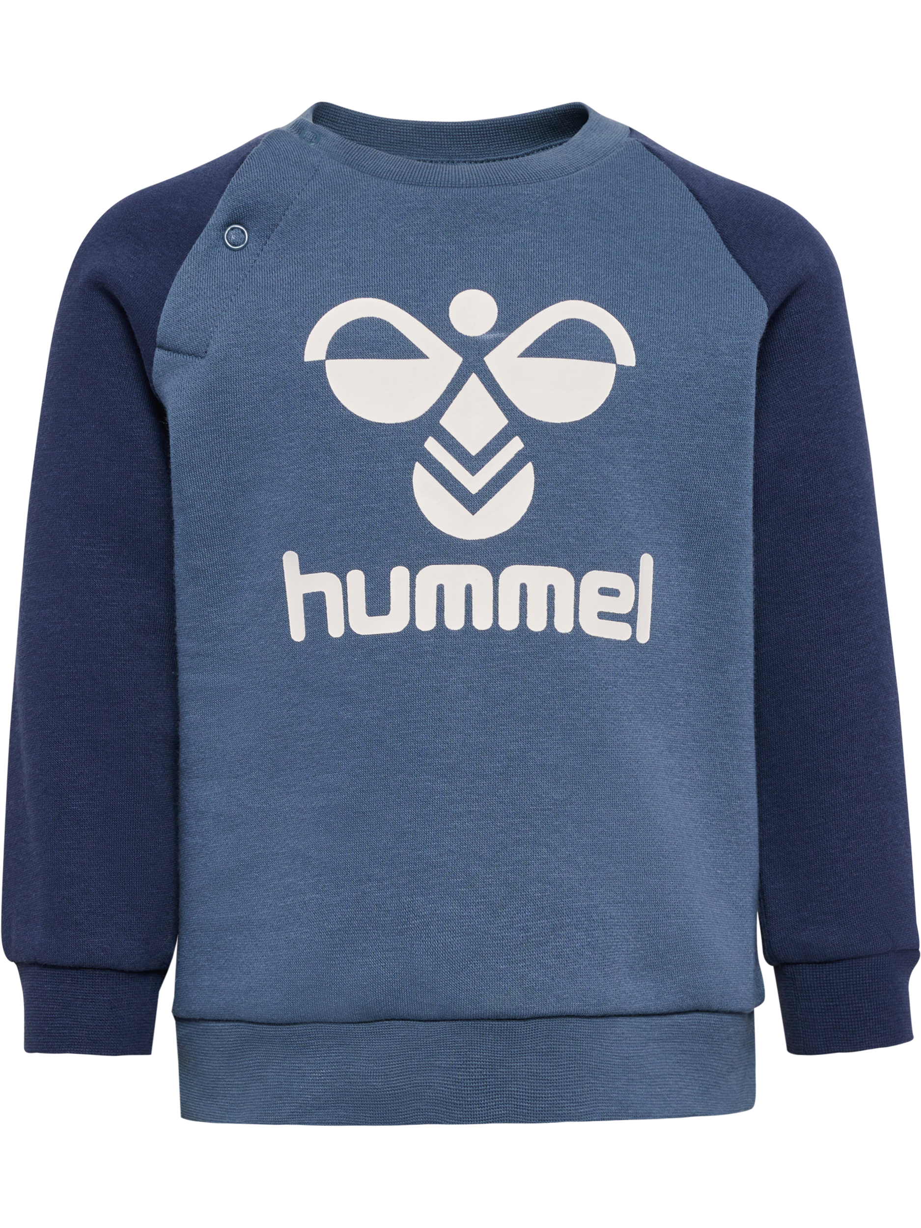 hummel Jogginganzug »HUMMING CREWSUIT«, (2 tlg.)