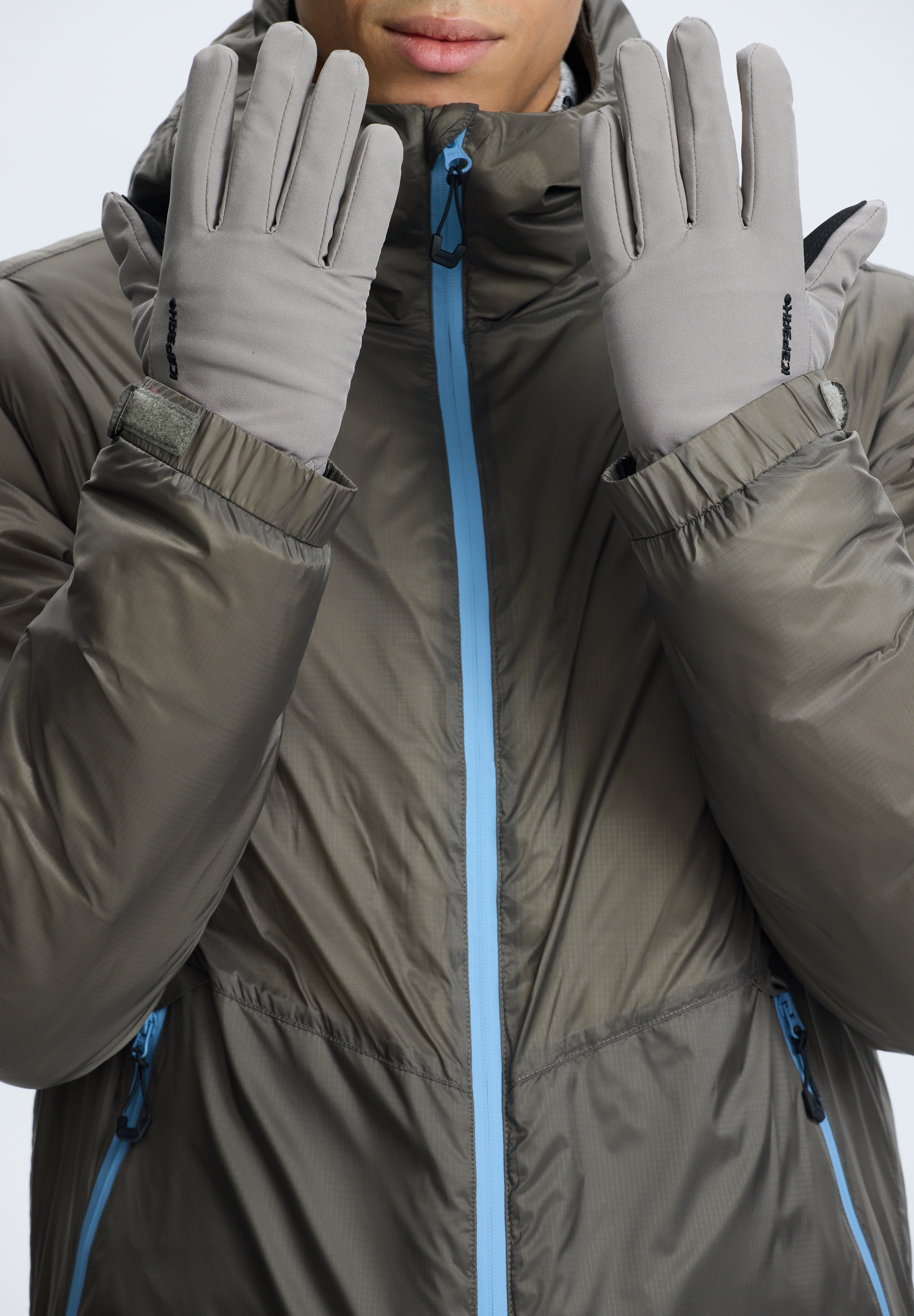 Icepeak Skihandschuhe »ICEPEAK HANAU«, (2 St.)