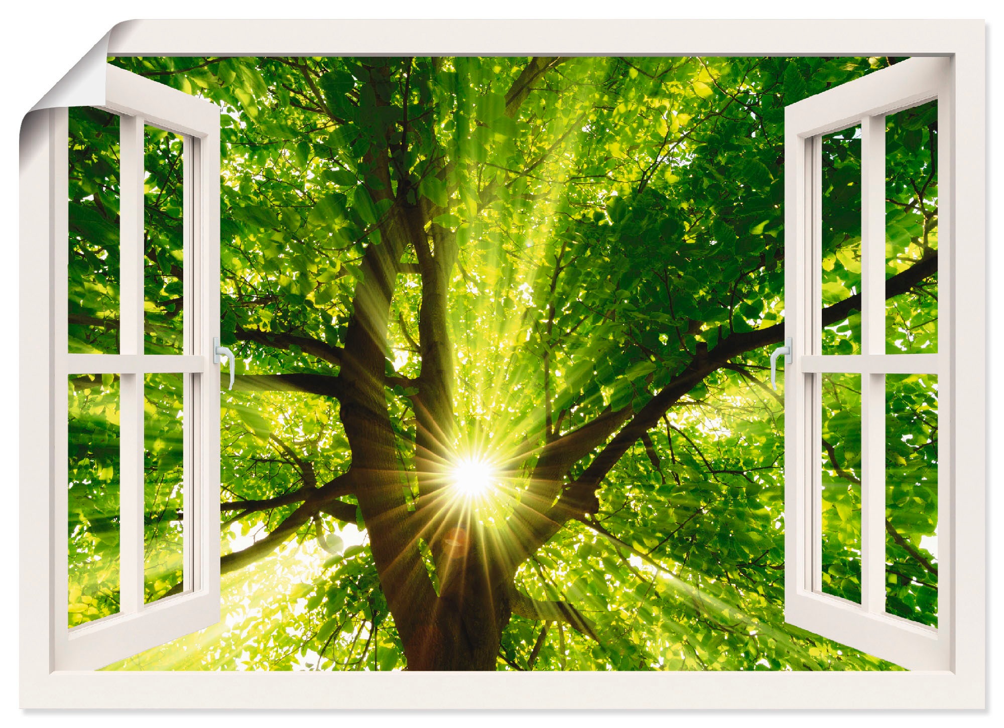 Artland Wandbild »Fensterblick Sonne strahlt Bäume, oder shoppen Grössen Poster St.), als Baum«, online (1 durch Leinwandbild, Wandaufkleber | Jelmoli-Versand in versch