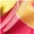 dragonfruit pink