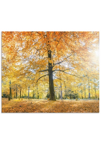 Artland Küchenrückwand »Herbstwald Panorama«, (1 tlg.), selbstklebend in vielen... kaufen