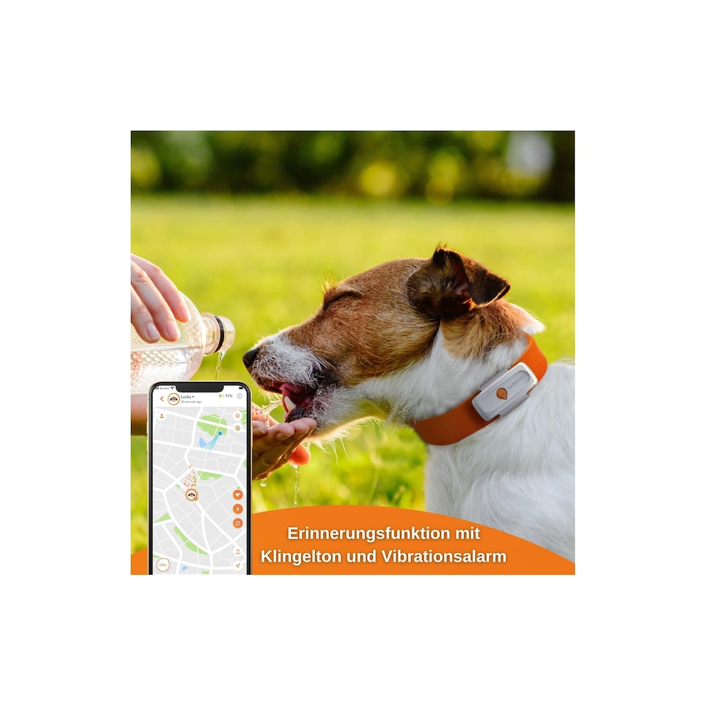GPS-Tracker »Weenect XS für Hunde Weiss«
