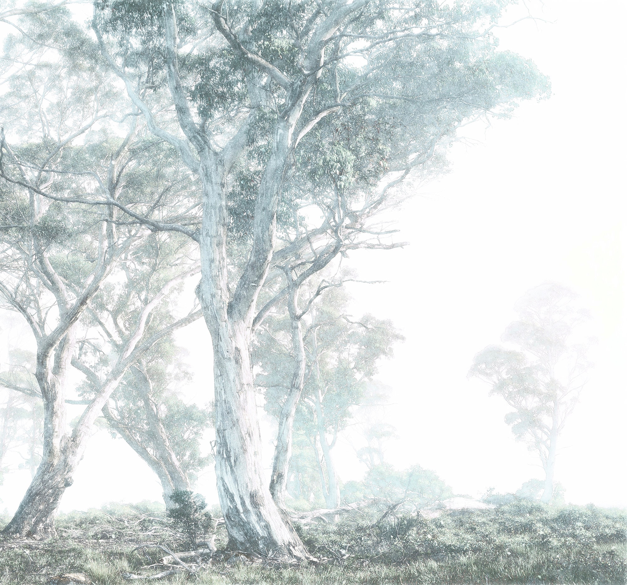 ❤ Komar Vliestapete »Magic Trees«, 300x280 cm (Breite x Höhe), Vliestapete,  100 cm Bahnbreite bestellen im Jelmoli-Online Shop
