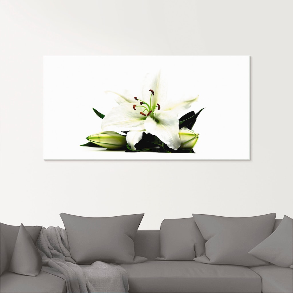 Artland Glasbild »Grosse Lilie«, Blumen, (1 St.)