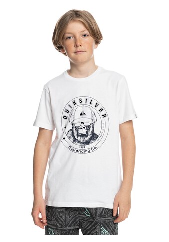 Quiksilver T-Shirt »Drumroll Please« kaufen