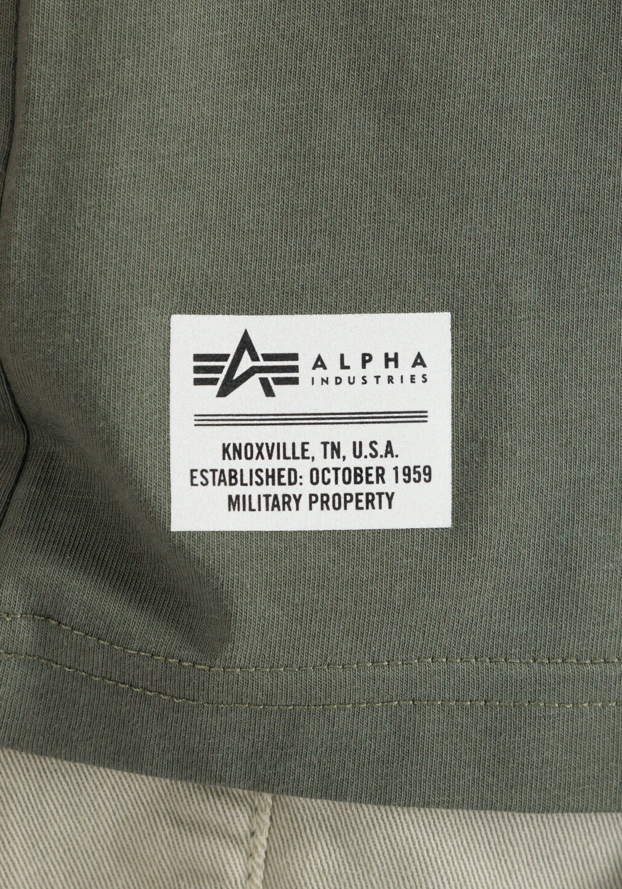 Alpha Industries T-Shirt »Alpha Industries Men - T-Shirts Dragon EMB T-Shirt«