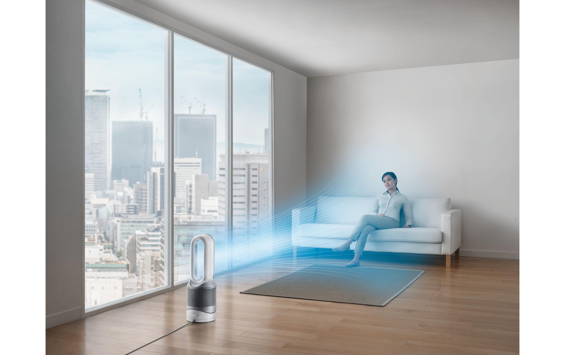 DYSON Luftreiniger »Pure Hot+Cool Link mit Ersatzfilter«