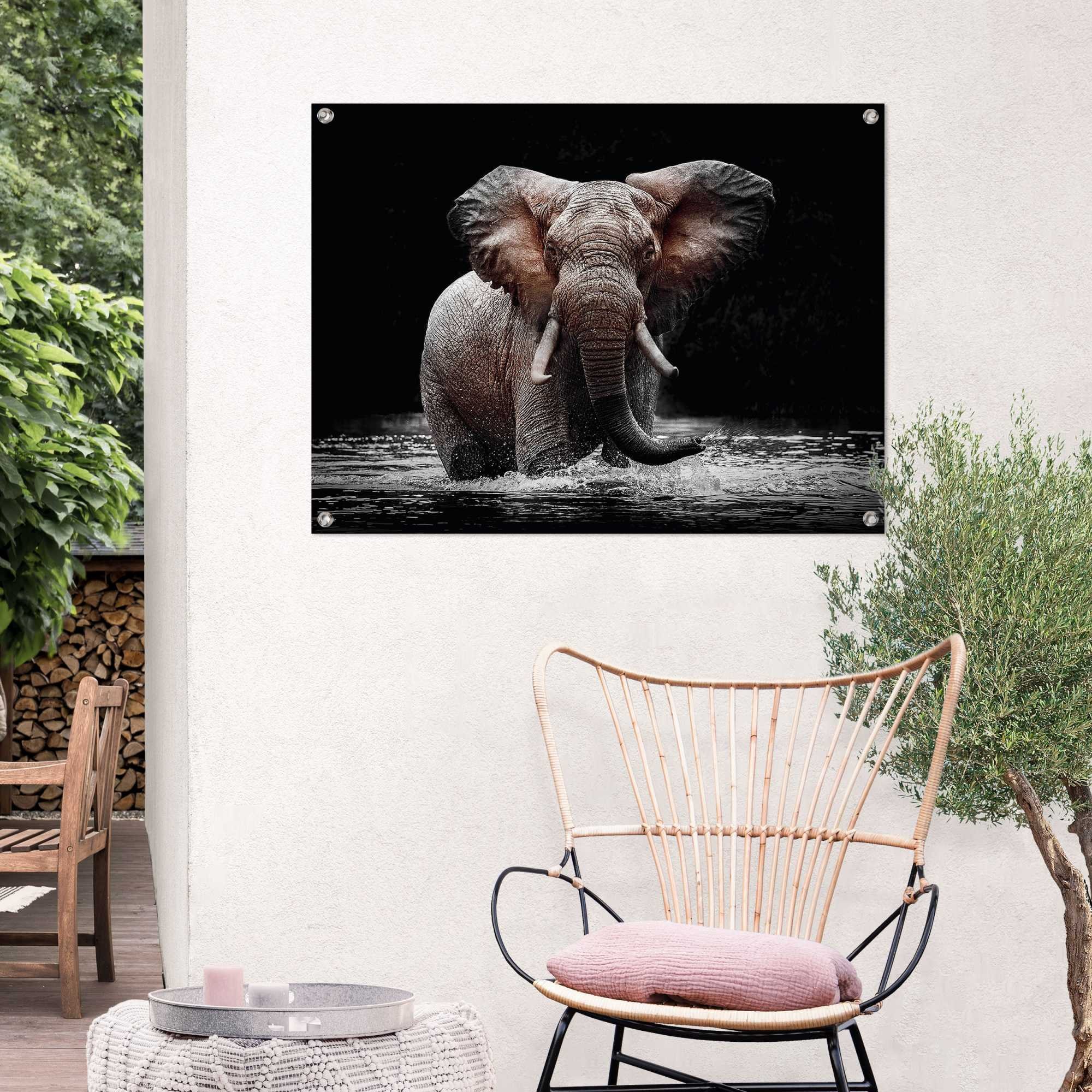 Reinders! Poster »Elefant«, Outdoor für | online Garten kaufen Jelmoli-Versand Balkon oder