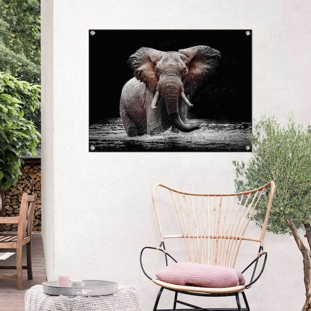 Reinders! Poster »Elefant«, Outdoor für Garten oder Balkon online kaufen |  Jelmoli-Versand