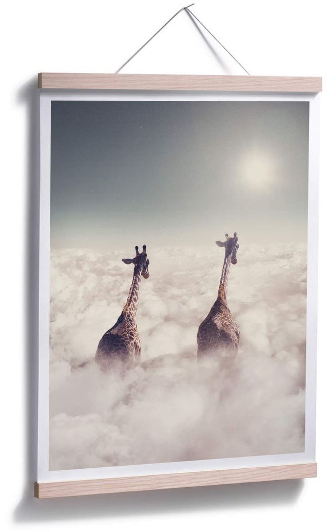 Wall-Art Poster »Safari Giraffen in den Wolken«, Tiere, (1 St.), Poster,  Wandbild, Bild, Wandposter online shoppen | Jelmoli-Versand