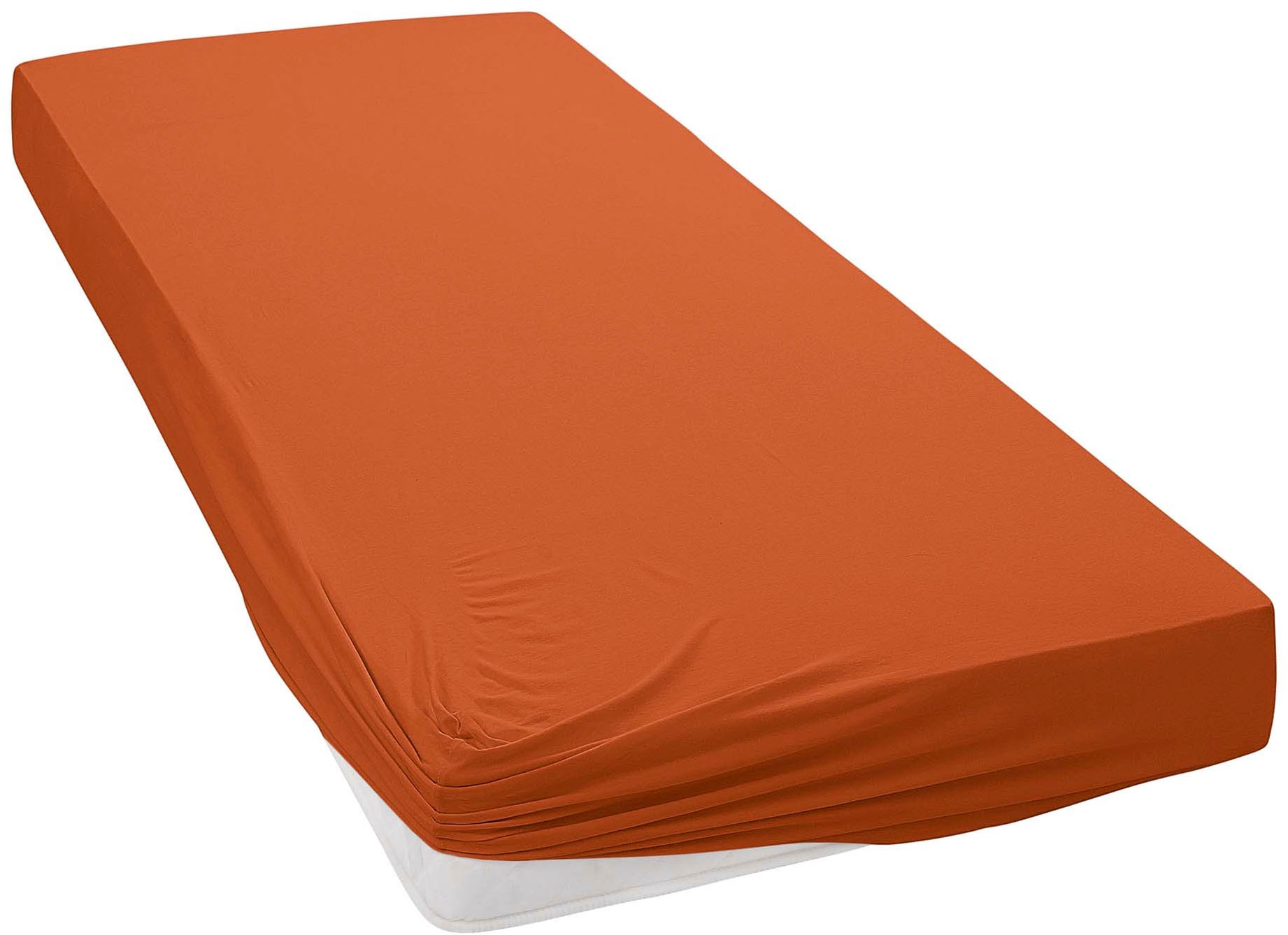 Janine Spannbetttuch Elastic Jersey 5002