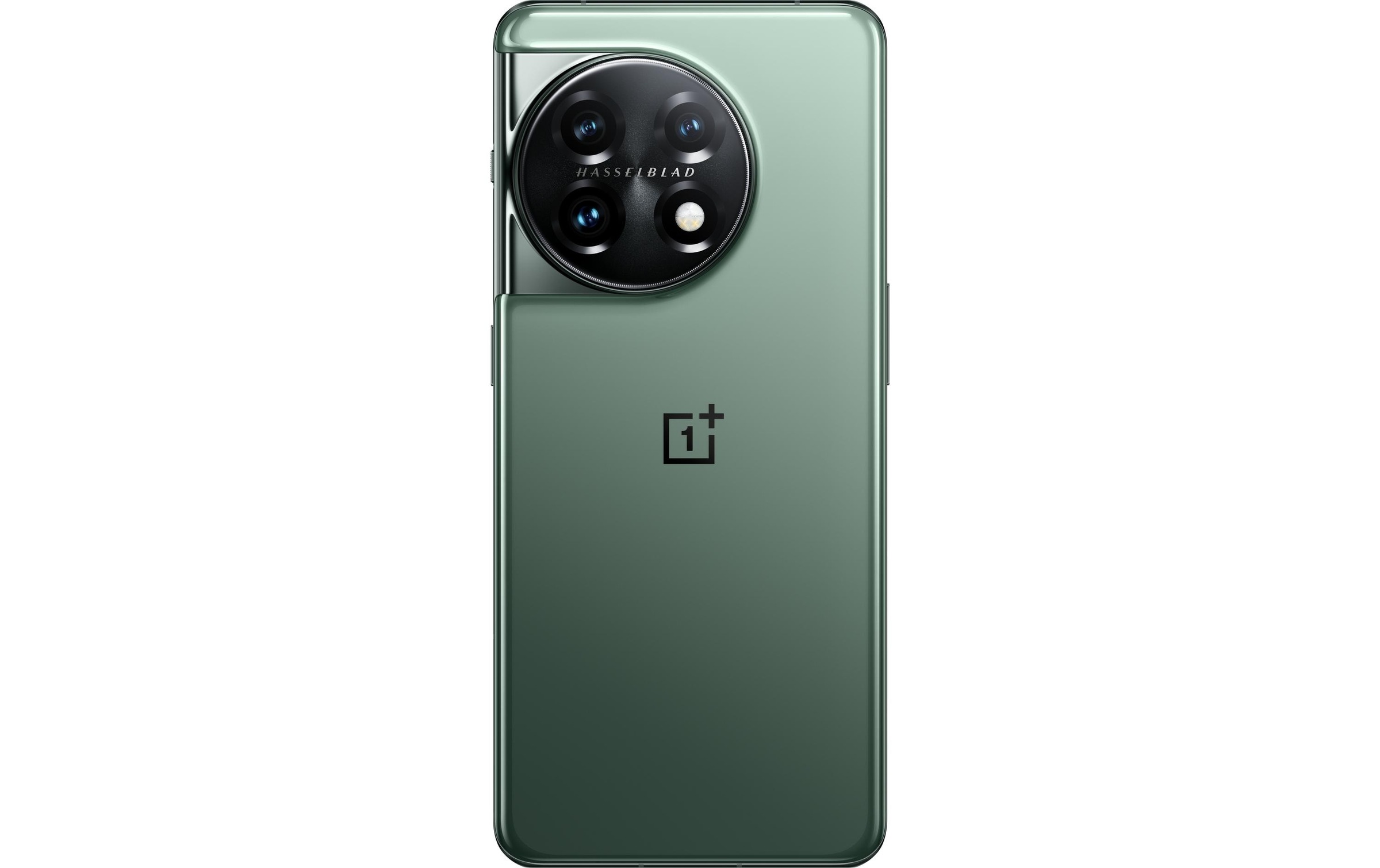 | Kamera Smartphone Schwarz jetzt glanz, Green«, cm/6 kaufen 256 GB GB Jelmoli-Versand 256 Eternal ➥ »11 MP Zoll, OnePlus 16 ,7 16,95 Speicherplatz, 5G