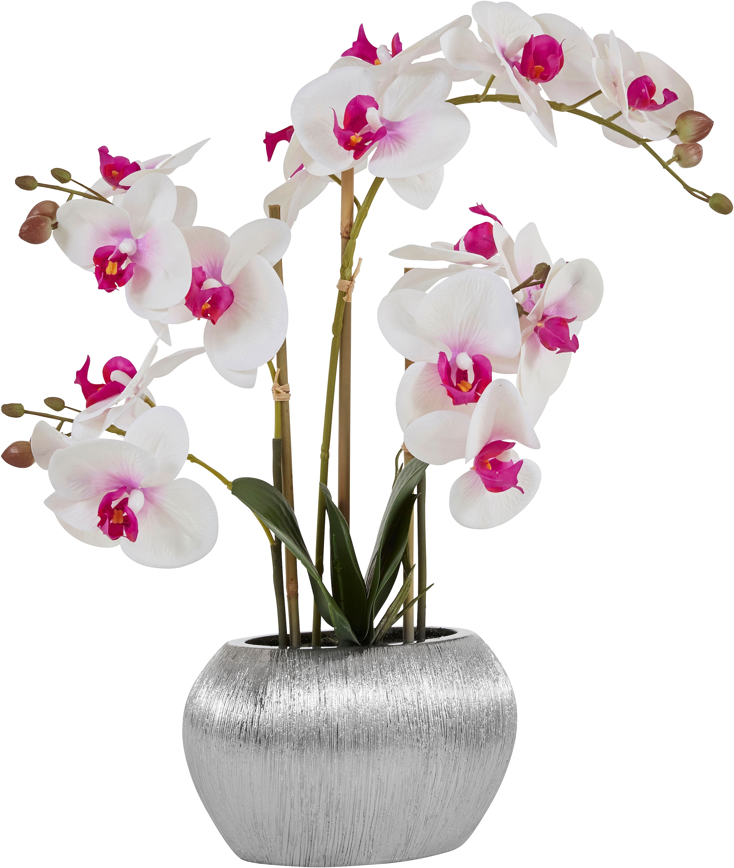 Creativ green Kunstorchidee »Phalaenopsis«, im Zementtopf kaufen Jelmoli-Versand | online