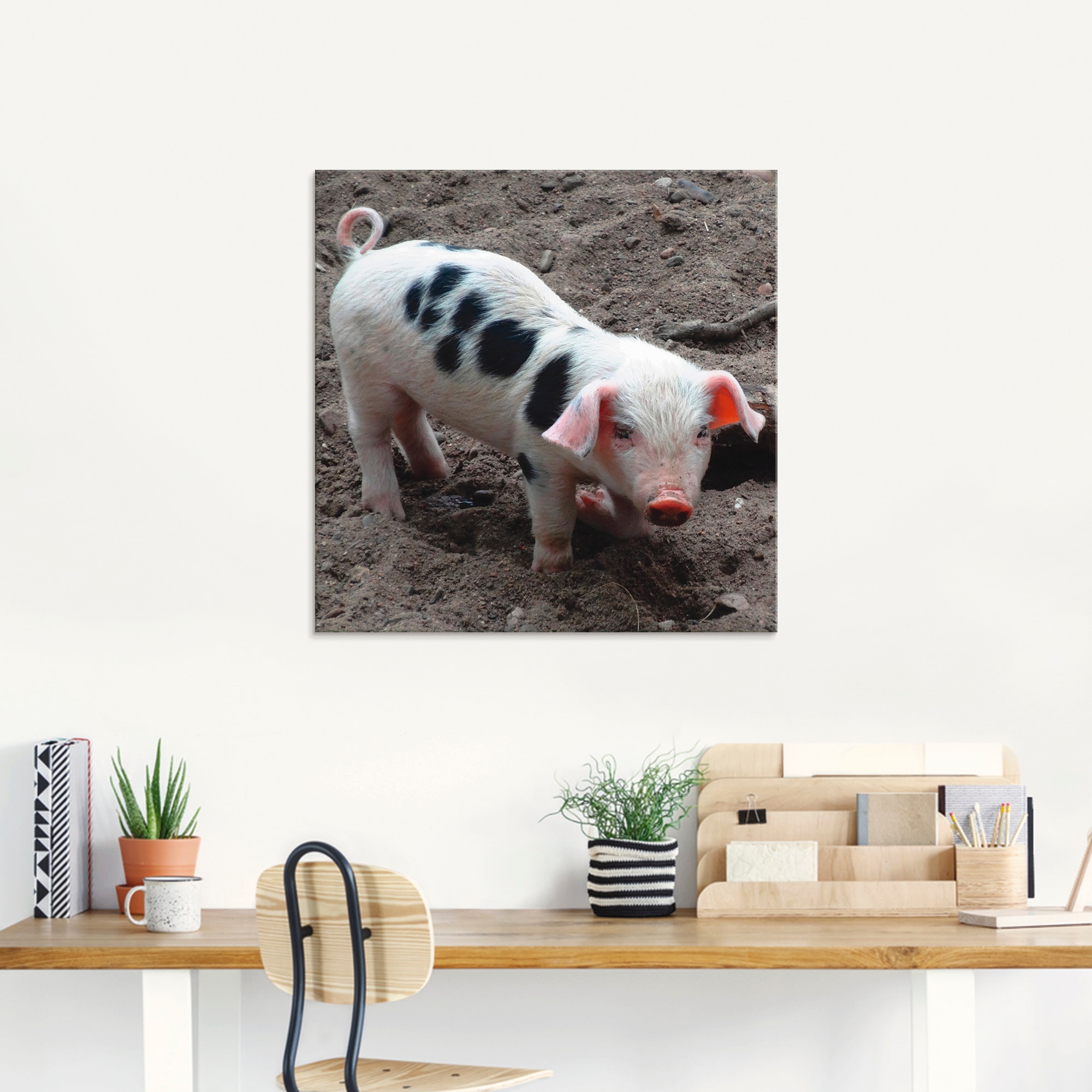 Artland Glasbild »Niedliches Ferkel«, Haustiere, (1 St.), in verschiedenen Grössen