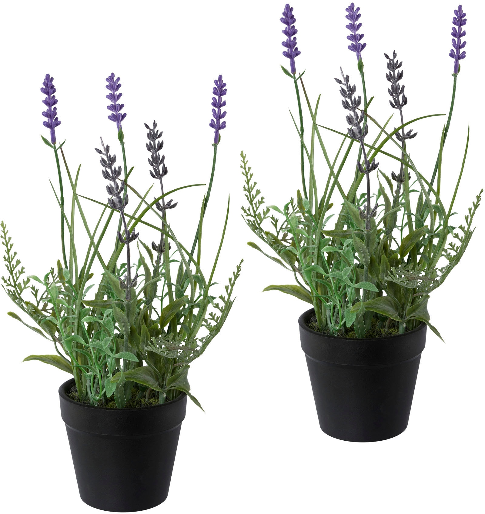im »Lavendel«, bestellen Kunststofftopf 3er green Jelmoli-Versand Kunstpflanze Set, Creativ online |