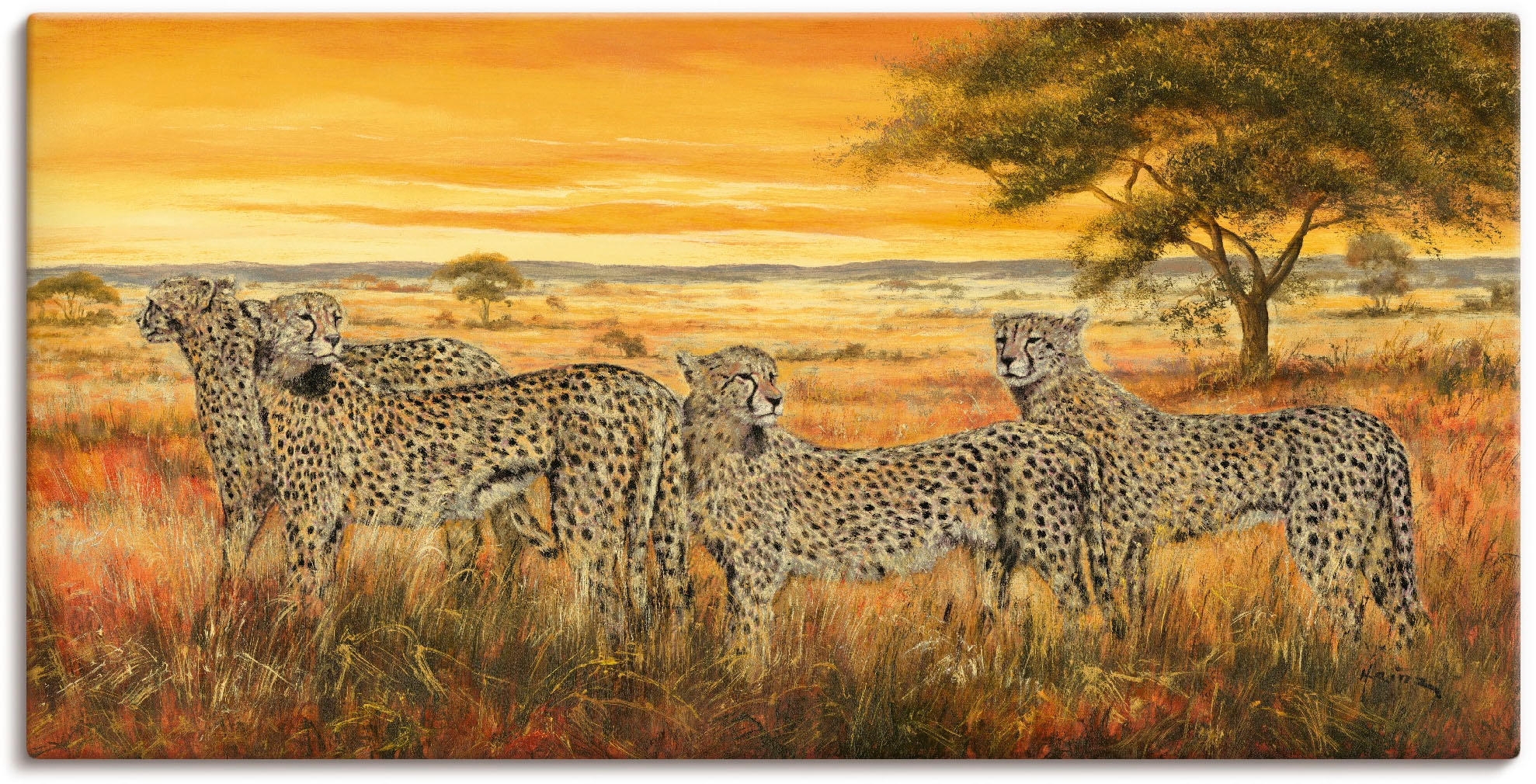 Artland Wandbild »4 Geparden«, Wildtiere, (1 St.), als Alubild, Leinwandbild,  Wandaufkleber oder Poster in versch. Grössen online kaufen | Jelmoli-Versand | Poster