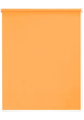 sunlines Seitenzugrollo »One size Style Peach«, Lichtschutz, freihängend, Made in Germany kaufen