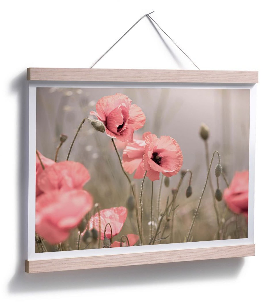 Wall-Art Poster »Romantische Mohnblume«, Blumen, (1 St.) online kaufen |  Jelmoli-Versand