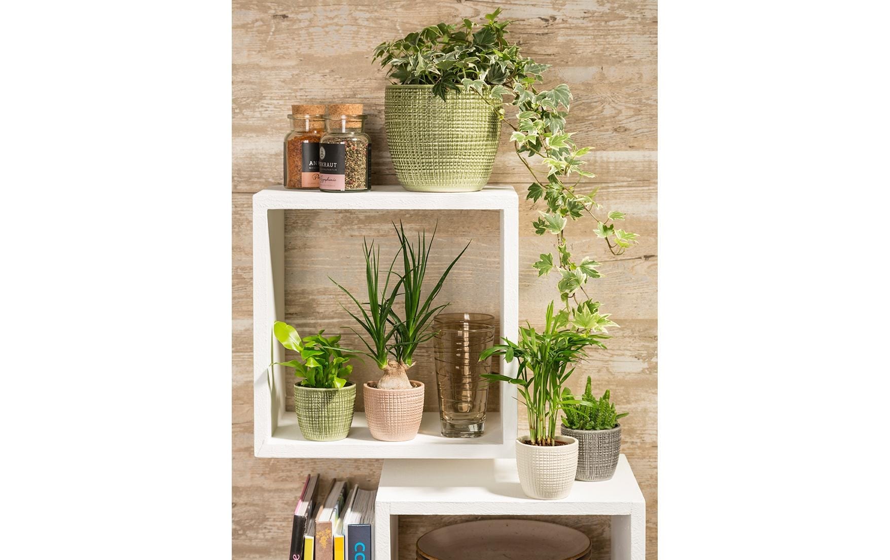 Scheurich Blumentopf »Übertopf Keramik«