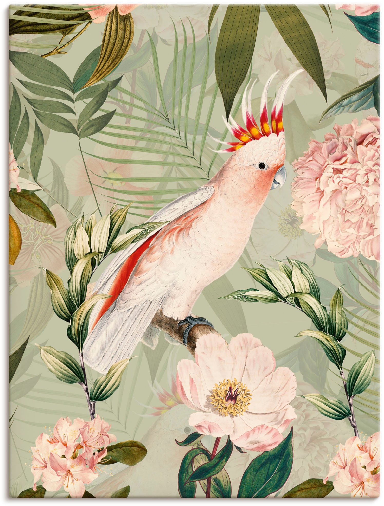 Artland Wandbild »Vintage Papagei«, Jelmoli-Versand | St.), Alubild, Leinwandbild, in kaufen (1 Wandaufkleber Poster Grössen online als versch. Vogelbilder, oder