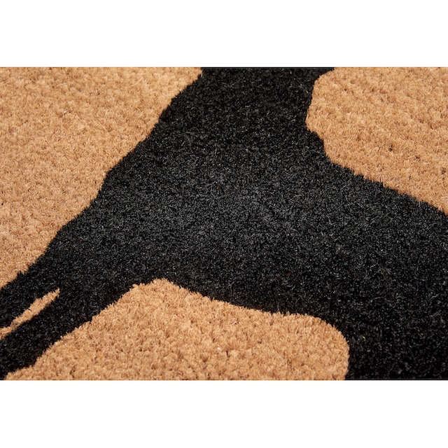 ❤ HANSE Home Fussmatte »Mix Mats Kokos Dog Silhouette«, rechteckig, Kokos,  Schmutzfangmatte, Outdoor, Rutschfest, Innen, Kokosmatte, Flur kaufen im  Jelmoli-Online Shop