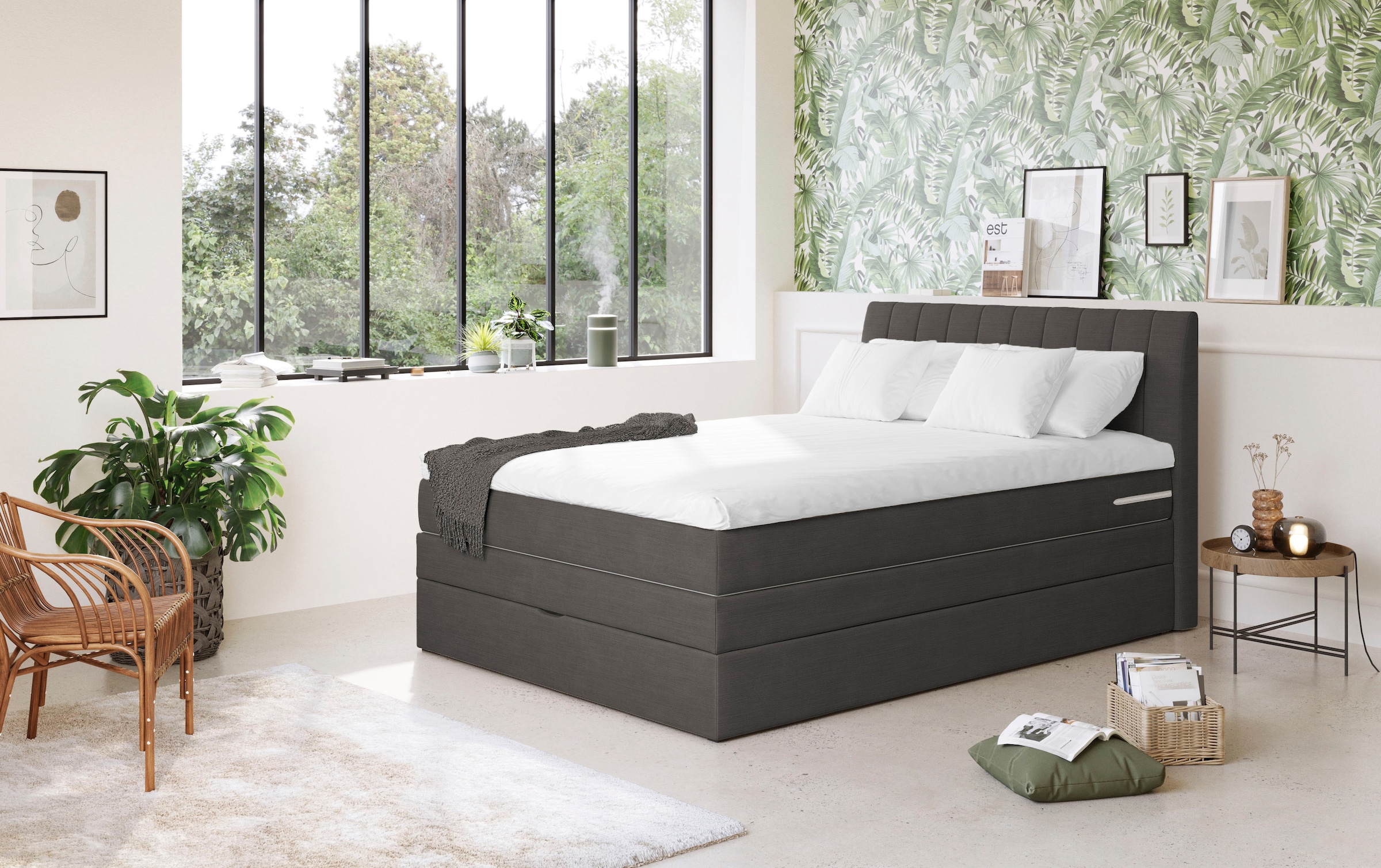 COTTA Boxspringbett »Shark inkl. Bettkasten und Topper«, erhältlich in den Breiten 140x200cm, 160x200cm und 180x200cm