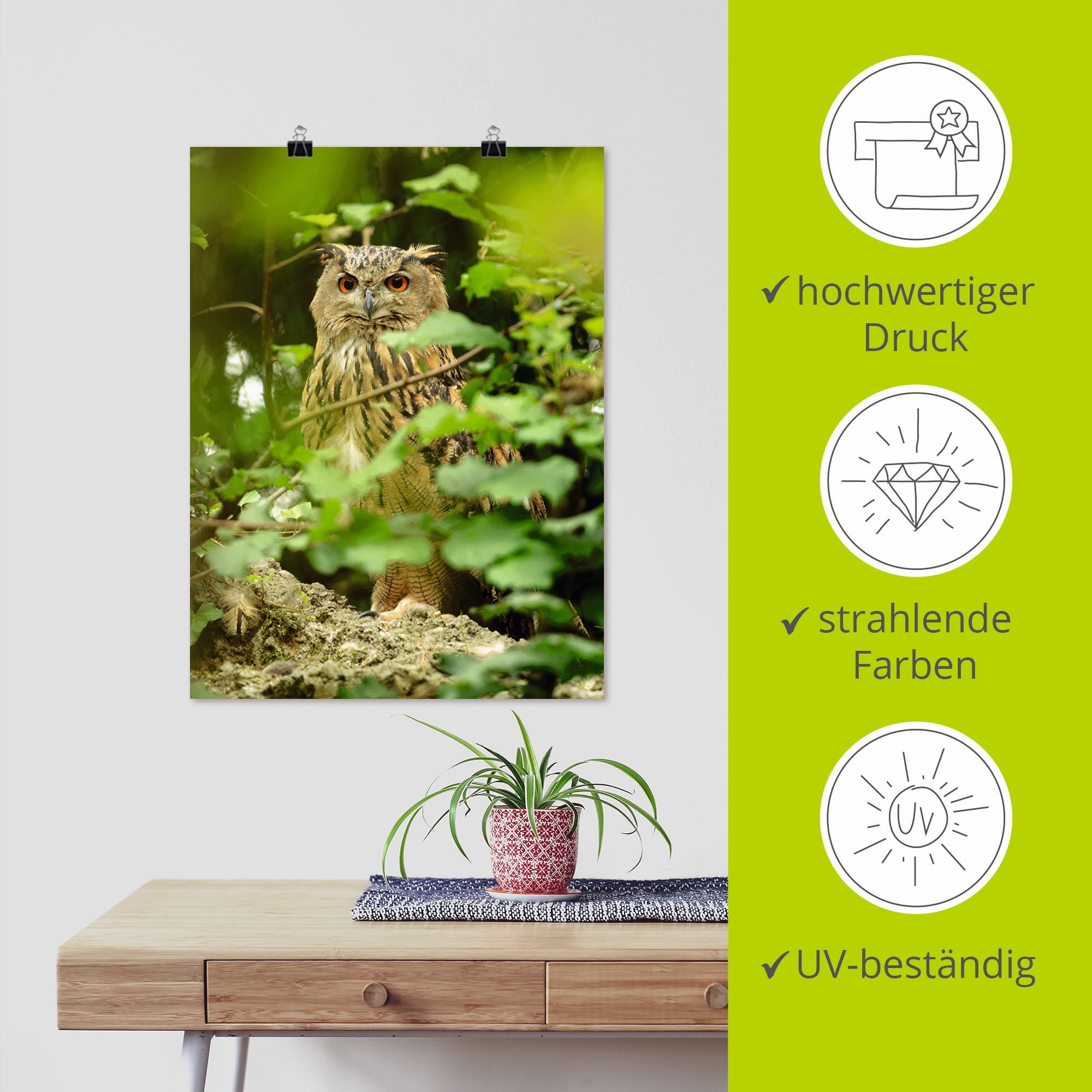 Artland Wandbild »Vogel Uhu«, Vögel, (1 St.), als Leinwandbild, Poster in verschied. Grössen